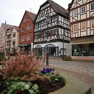 Romantisches Main Erlebnis Gemunden am Main